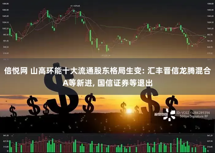 倍悦网 山高环能十大流通股东格局生变: 汇丰晋信龙腾混合A等新进, 国信证券等退出