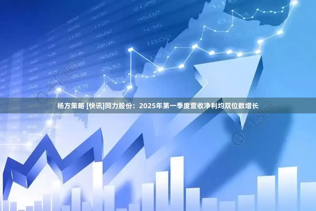 杨方策略 [快讯]同力股份：2025年第一季度营收净利均双位数增长