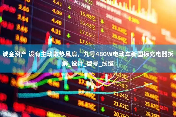 诚金资产 设有主动散热风扇，九号480W电动车新国标充电器拆解_设计_型号_线缆