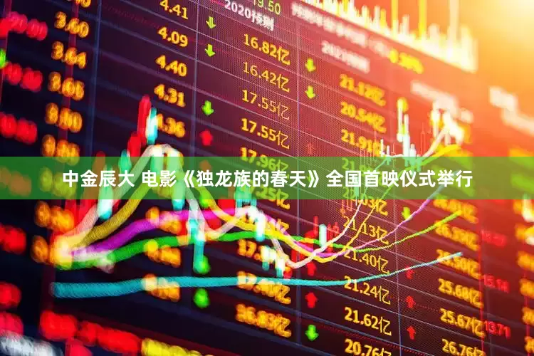 中金辰大 电影《独龙族的春天》全国首映仪式举行